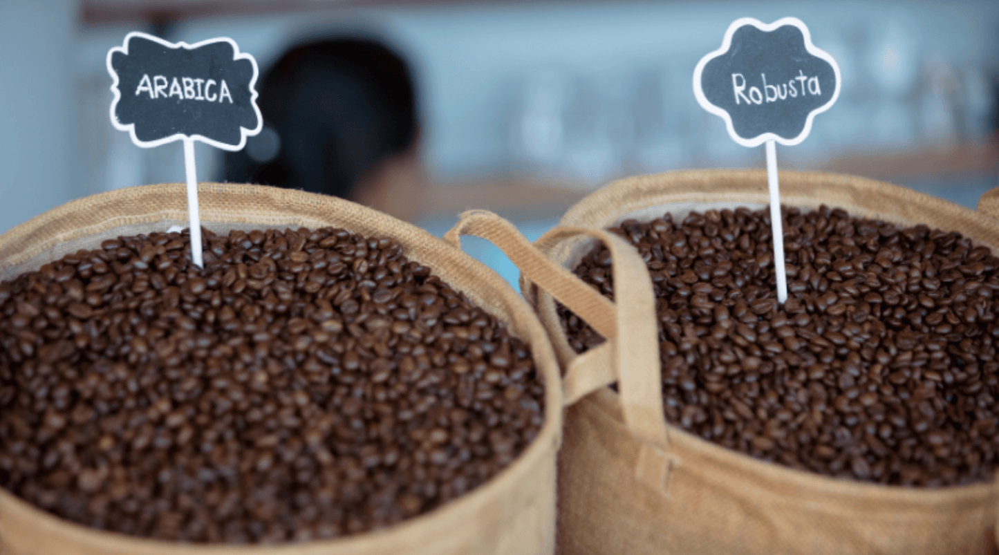 100% Pure Arabica And Robustra Coffee Beans