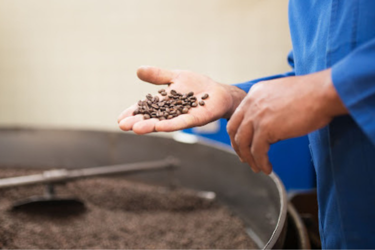 Coffee Roasting Process - Steps, Methods, and Techniques