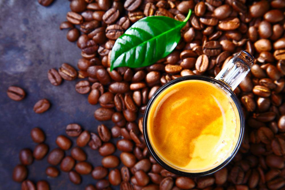 A Roaster's Guide to Jamaican Blue Mountain Coffee Beans - Chariot Coffee