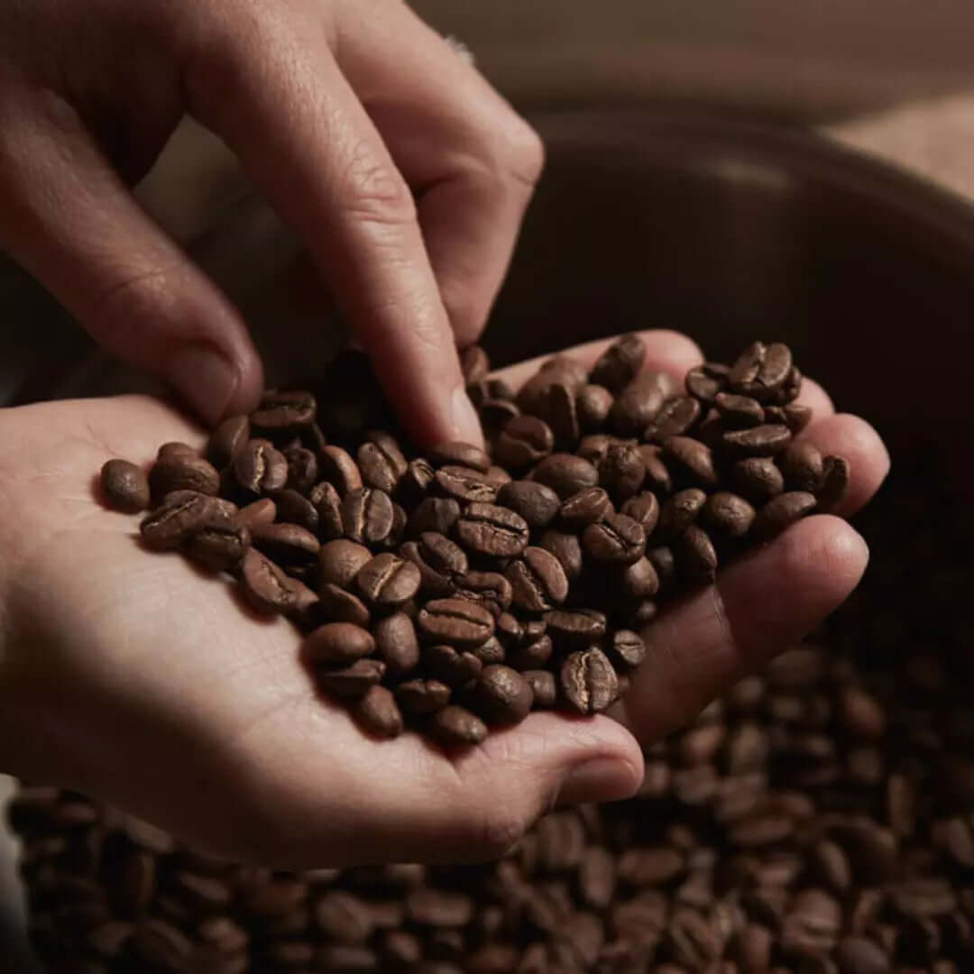 Roasted Coffee Beans